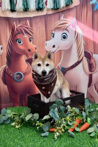 1762476030562_copy_1434x2152