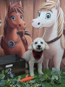 1763093425286_copy_1776x2368