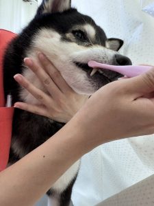 1768625391090_copy_2095x2795