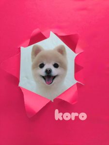 1775111883038_copy_3023x4030