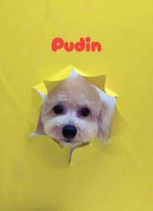 1775129110599_copy_2980x4096