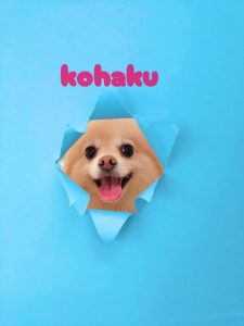 1775181923998_copy_3072x4096