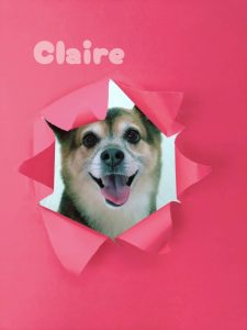 1775186453928_copy_3055x4073