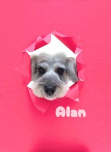 1775200943478_copy_2980x4063