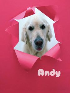 1775204006650_copy_2978x3970