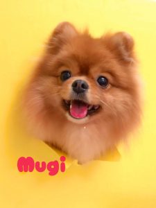 1775214418103_copy_2883x3844