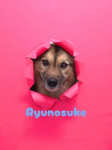 1775270068053_copy_2216x2954