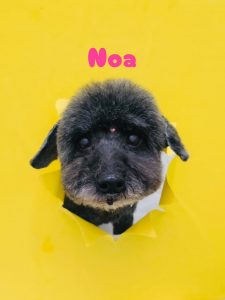 1775305705510_copy_2216x2954