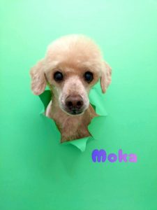 1775305710810_copy_2216x2954