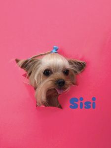 1775452560564_copy_2894x3858