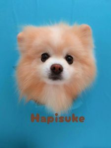 1775455258947_copy_2216x2954