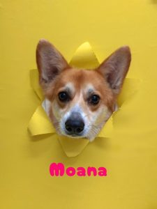 1775479122950_copy_2216x2954