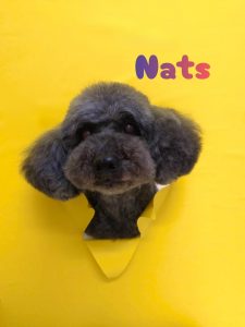 1775479127591_copy_2216x2954