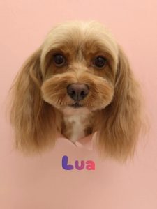 1775547043207_copy_2216x2954