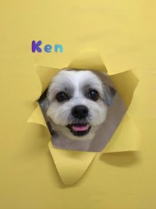 1775564160182_copy_2216x2954