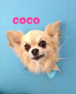 1775707232304_copy_2514x3090