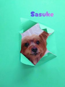 1775707414490_copy_3064x4086