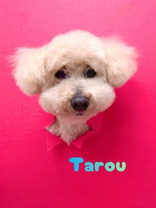 1775717095792_copy_2158x2877