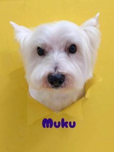 1775720816065_copy_2216x2954