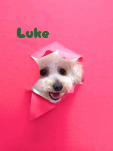 1775737212397_copy_2216x2954