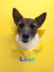 1775737219111_copy_2216x2954