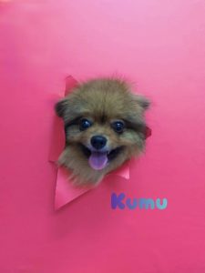 1775785091909_copy_3072x4096