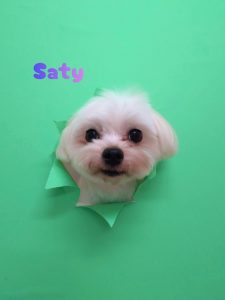 1775818859654_copy_3072x4096