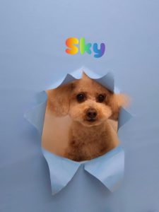 1775818865660_copy_3072x4096