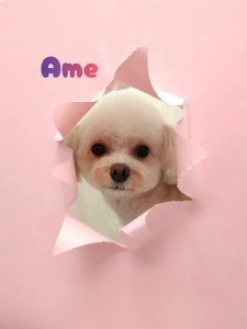 1775823546799_copy_2216x2954