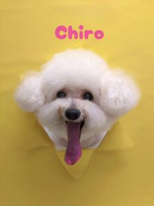 1775823551460_copy_2216x2954