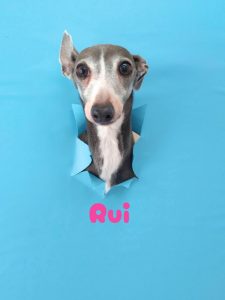 1775879324842_copy_3072x4096