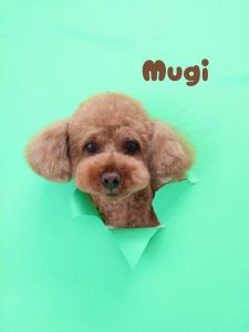 1775908136743_copy_3063x4084