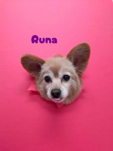 1775908141275_copy_2786x3715