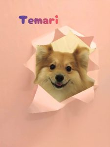 1775908150569_copy_3072x4096