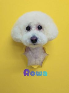 1775908156262_copy_3072x4096