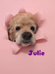 1776070008622_copy_3072x4096