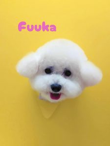 1776081978568~2_copy_3072x4096