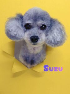 1776170551242_copy_2832x3777