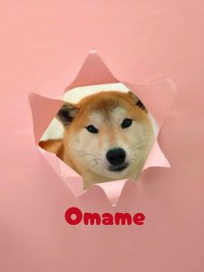 1776427377088_copy_3072x4096