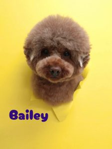 1776427382045_copy_2903x3871