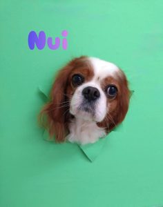 1776427394837_copy_3031x3846