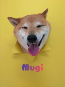 1776514883497_copy_3072x4096