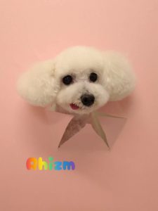 1776514977401_copy_2216x2954