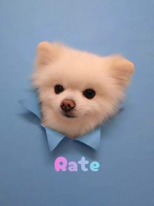 1776514989112_copy_3072x4096