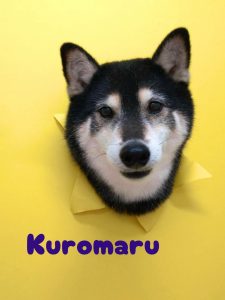 1776515008099_copy_2791x3721