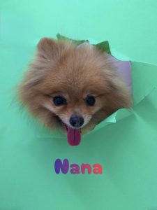 1776655200803_copy_2762x3682