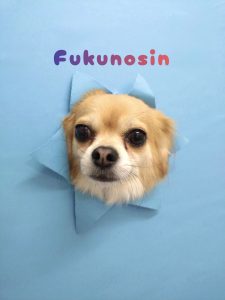 1776760921091_copy_2726x3635