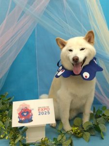 20250810_180330_copy_2016x2685