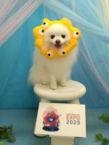 20250825_161039_copy_2016x2688