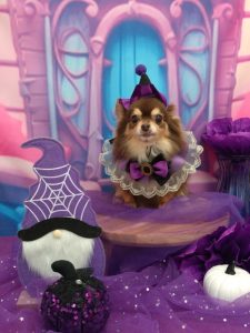 20251028_095107_copy_2010x2679